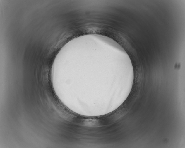 X0000110770363200907131239