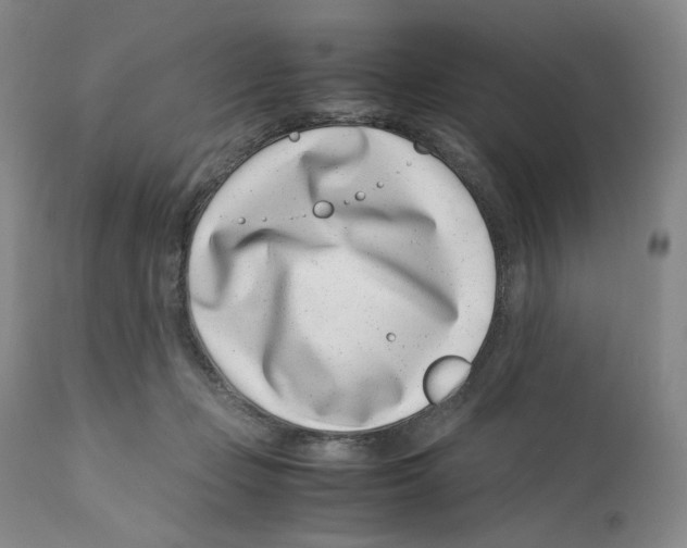 X0000110770365200907131239