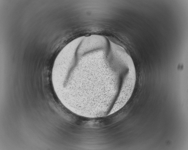 X0000110770366200907131239