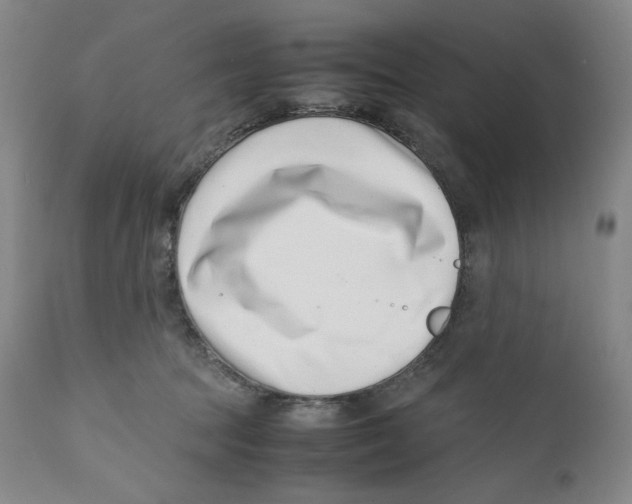 X0000110770369200907131239