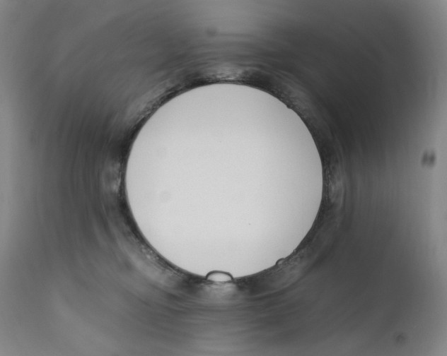 X0000110770374200907131239