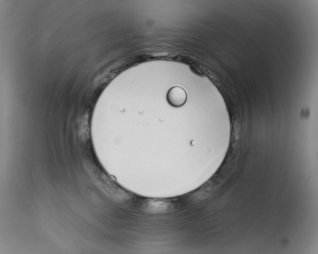 X0000110770376200907131239