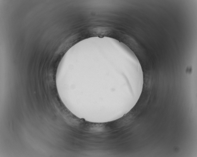 X0000110770377200907131239