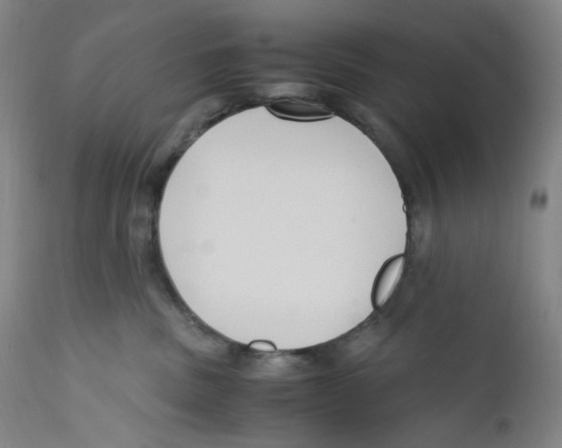 X0000110770379200907131239