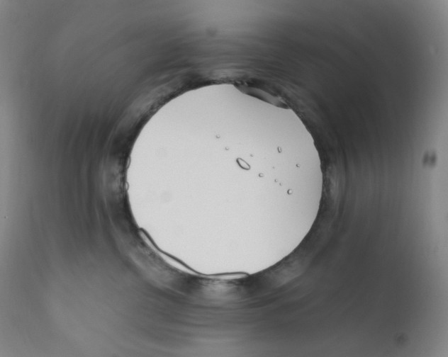 X0000110770380200907131239