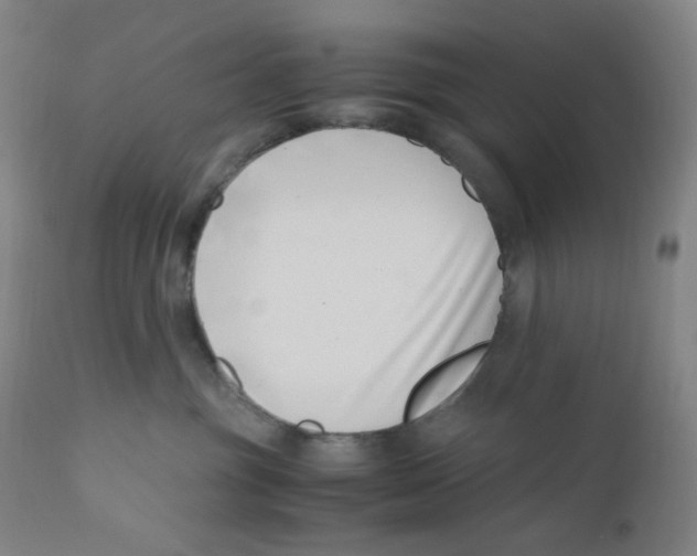 X0000110770381200907131239