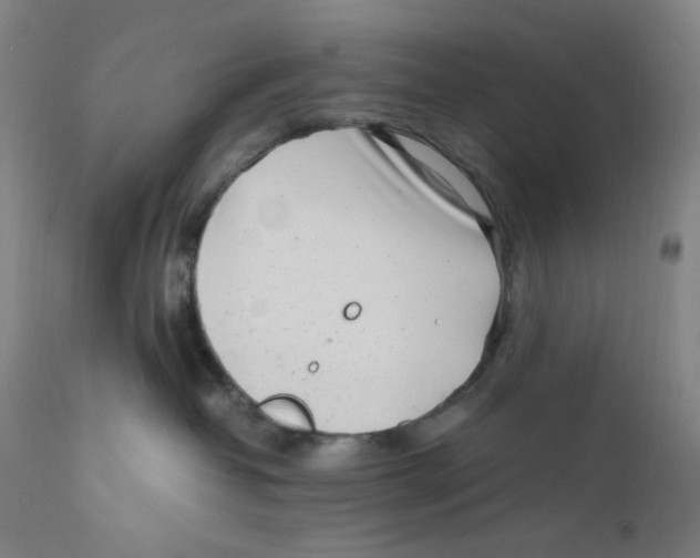 X0000110770382200907131239