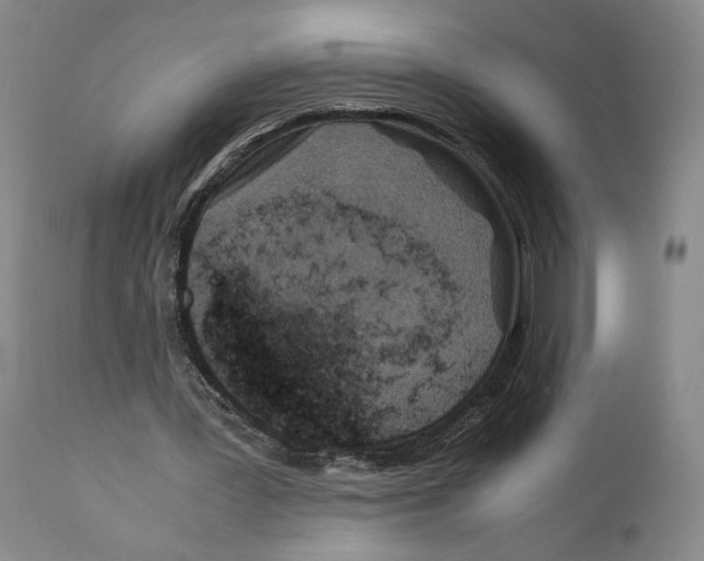 X0000110770387200907131239