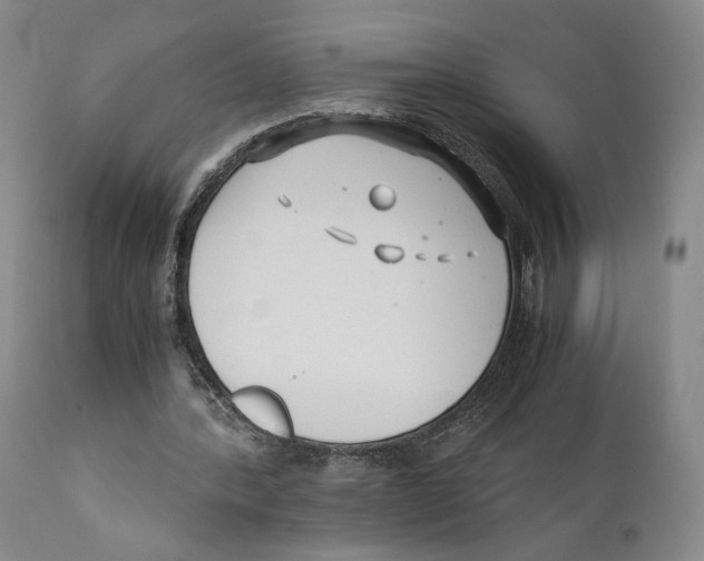 X0000110770388200907131239