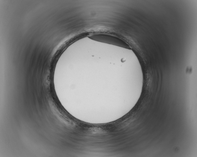 X0000110770392200907131238