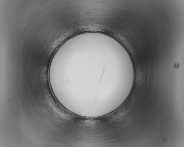 X0000110770394200907131238