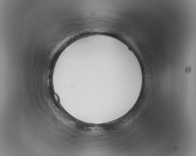 X0000110770395200907131238