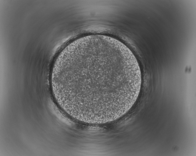 X0000110770399200907131238