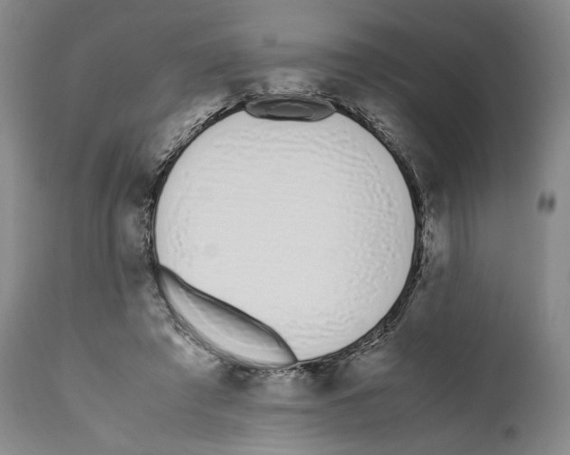 X0000110770401200907131238