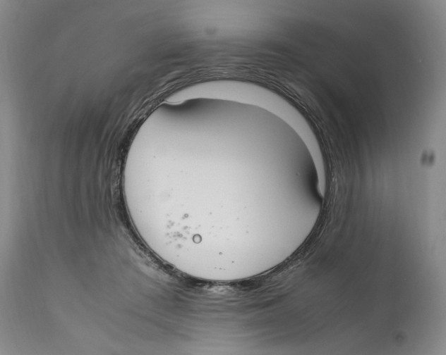 X0000110770409200907131238