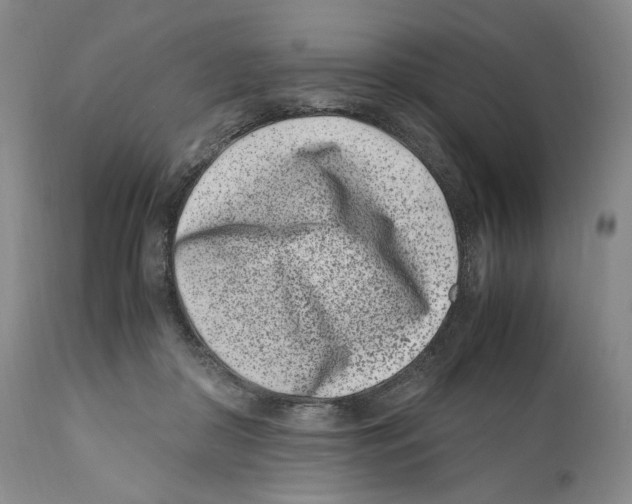 X0000110770410200907131238