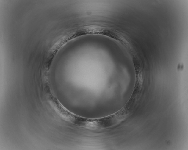 X0000110770411200907131238