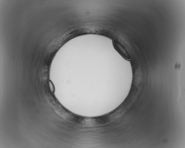 X0000110770413200907131238