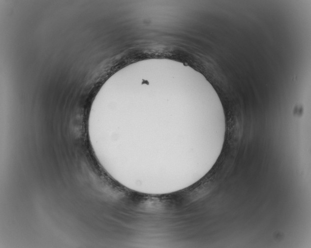 X0000110770416200907131238