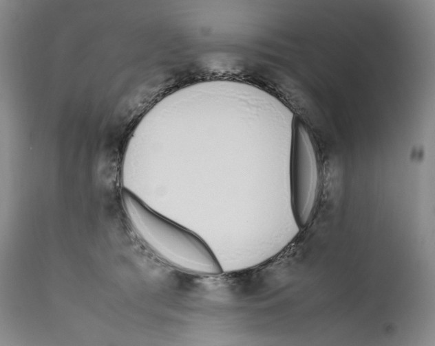 X0000110770417200907131238