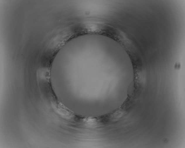 X0000110770419200907131238