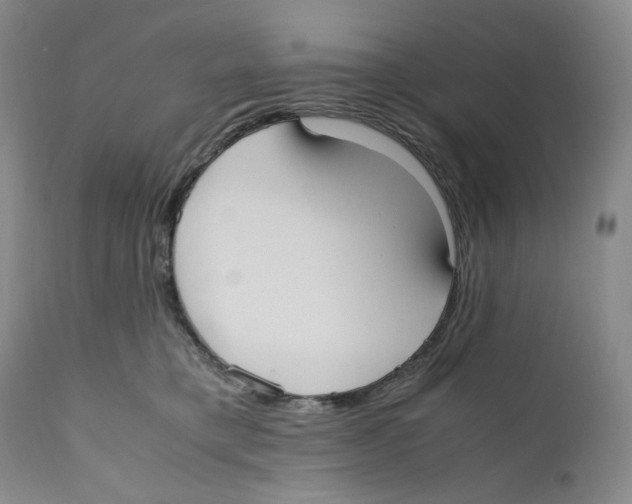 X0000110770421200907131238