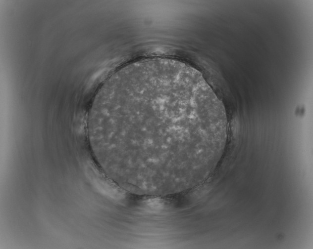 X0000110770423200907131238