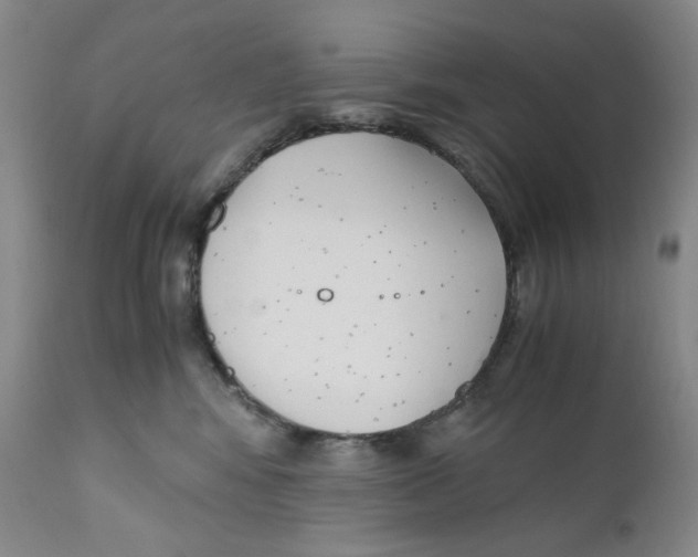 X0000110770424200907131238