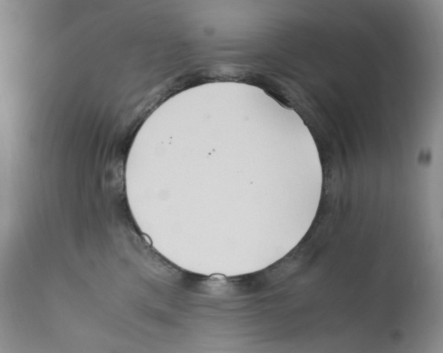 X0000110770425200907131238