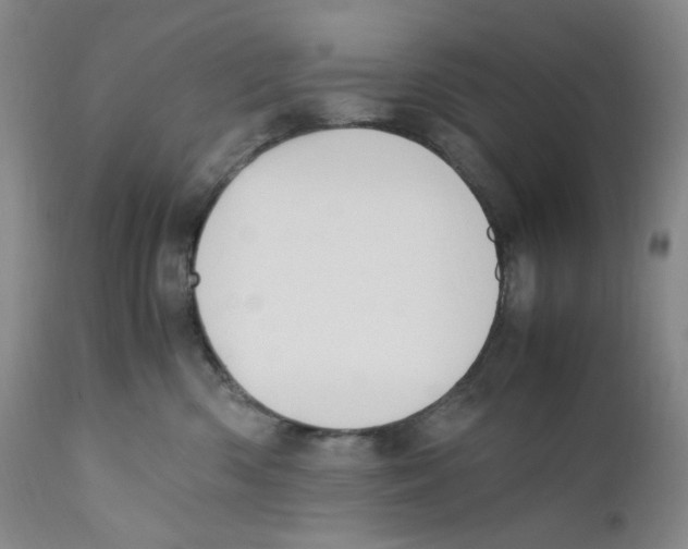 X0000110770426200907131238