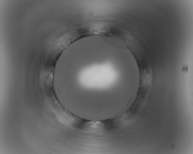 X0000110770427200907131238