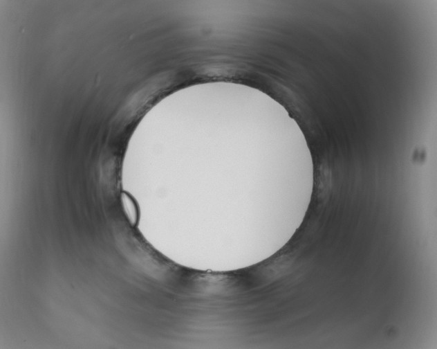 X0000110770428200907131238