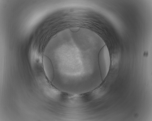 X0000110770431200907131238