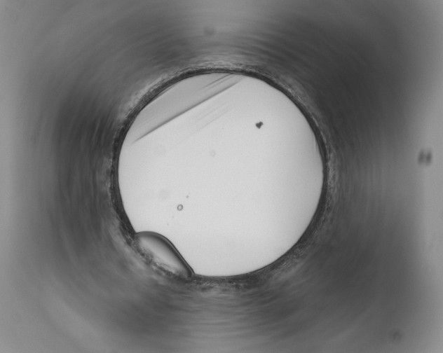 X0000110770434200907131237