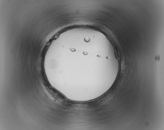 X0000110770436200907131237