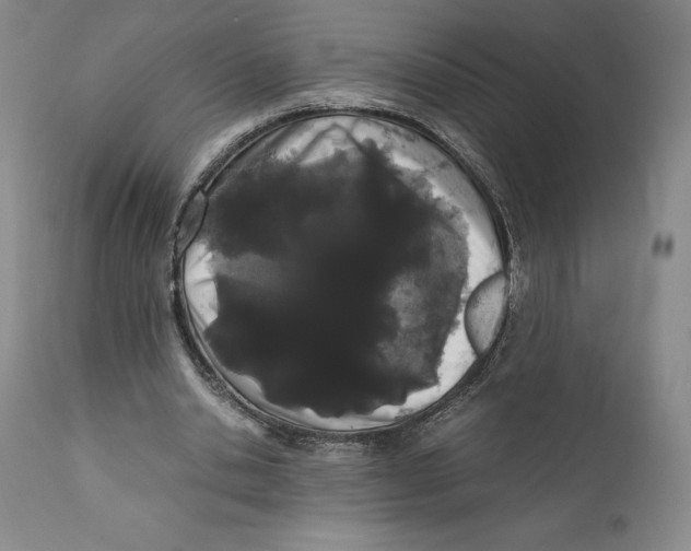 X0000110770438200907131237