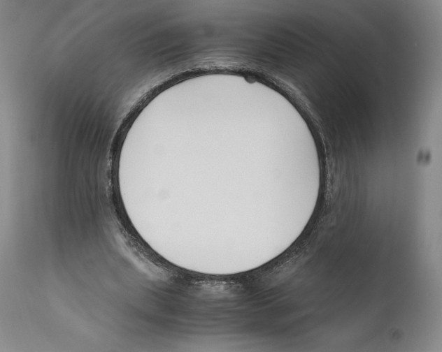 X0000110770439200907131237