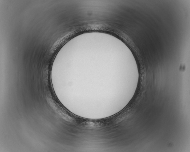 X0000110770442200907131237