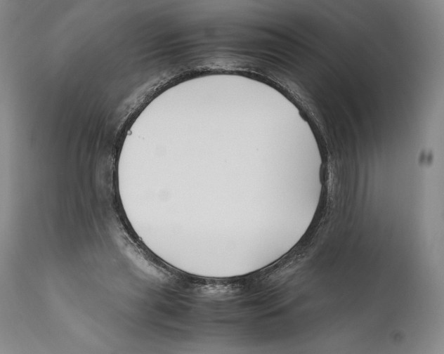 X0000110770445200907131237