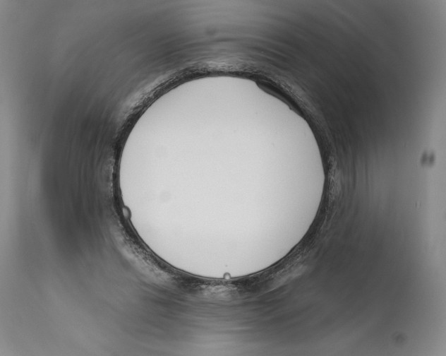 X0000110770446200907131237