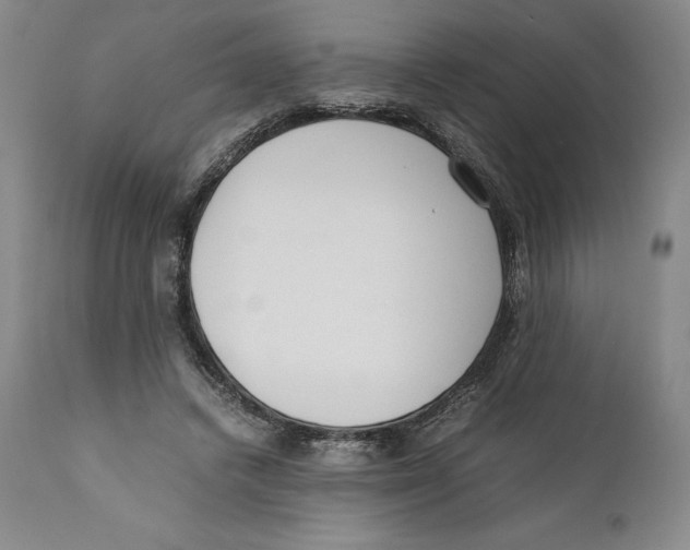 X0000110770448200907131237