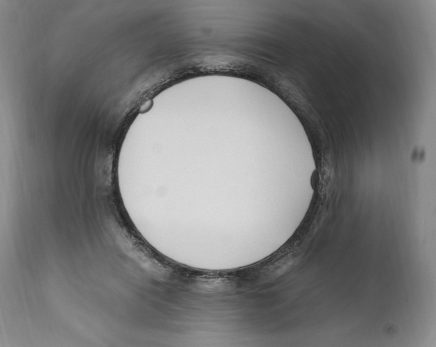 X0000110770454200907131237