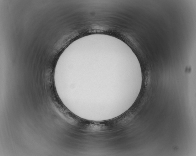 X0000110770455200907131237