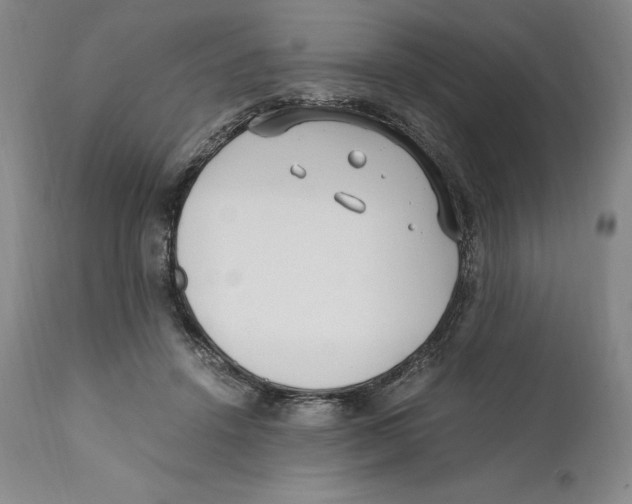 X0000110770456200907131237