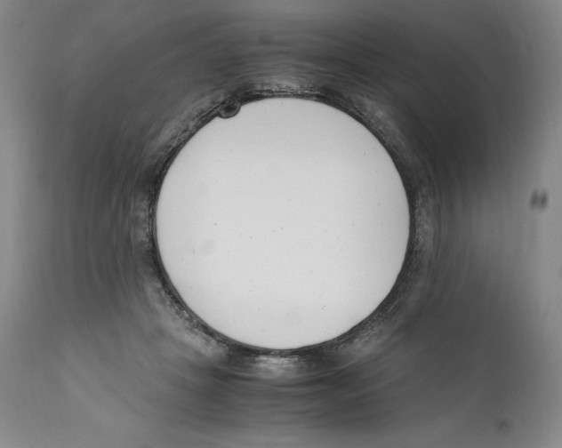 X0000110770457200907131237