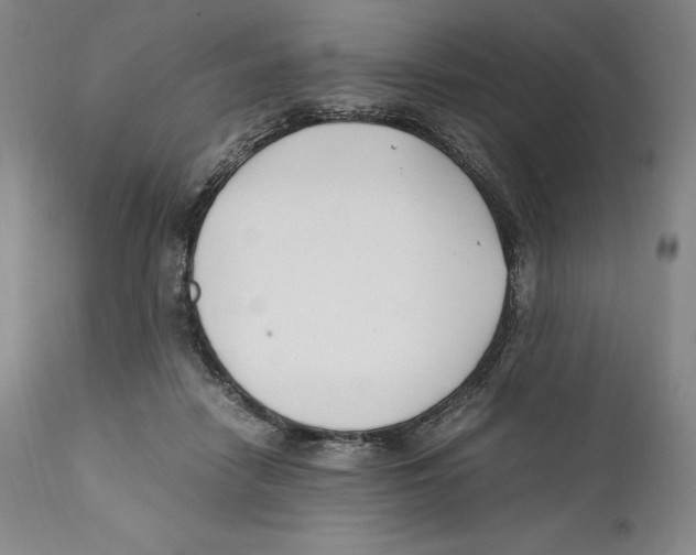 X0000110770458200907131237