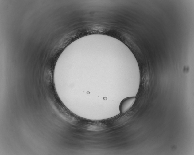 X0000110770459200907131237