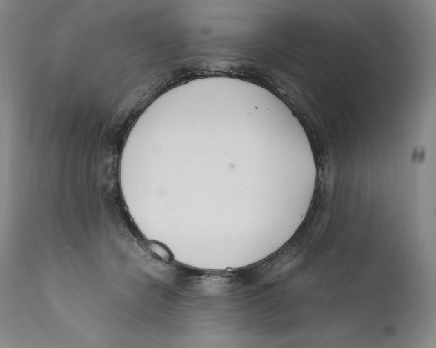 X0000110770462200907131237