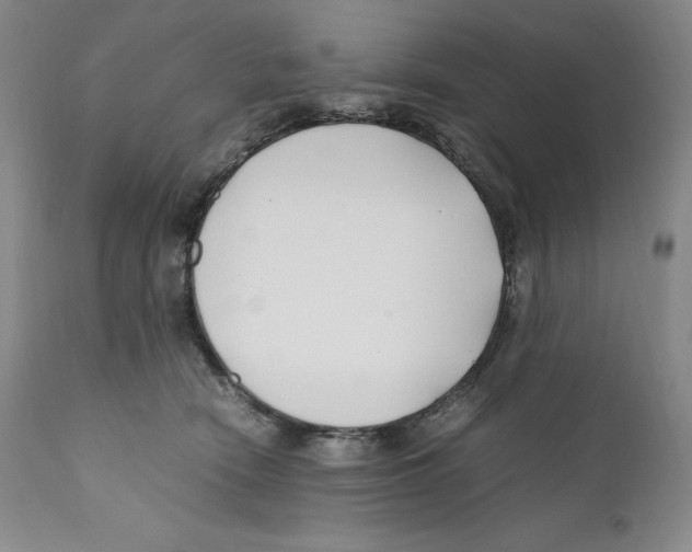 X0000110770466200907131237