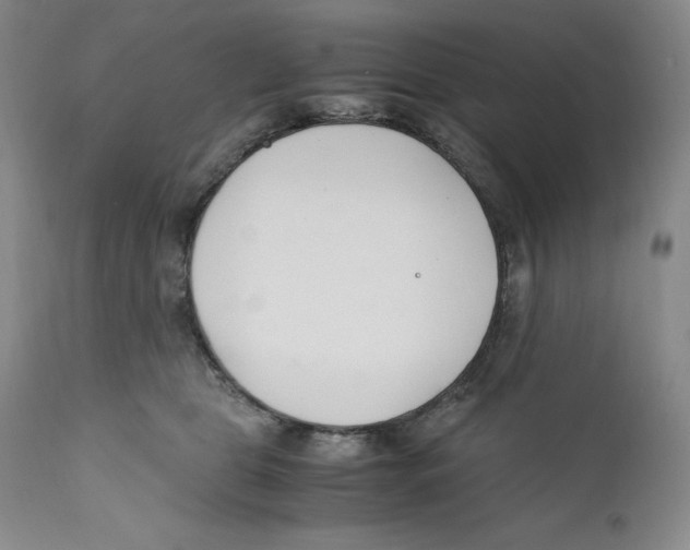 X0000110770469200907131237